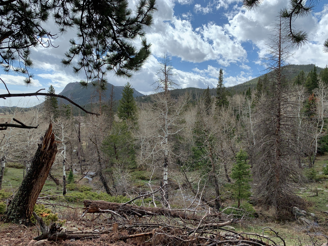 Rocky Mountain National Park