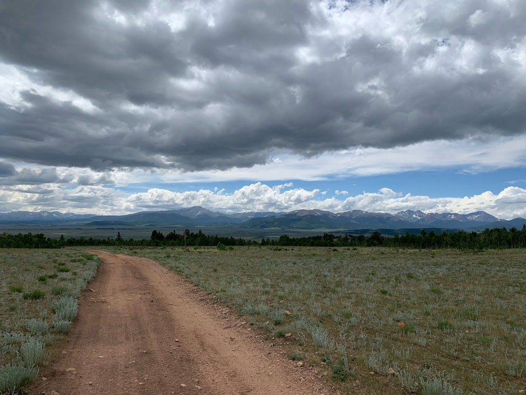 Forest road and the Mosquito Range in South Park, CO