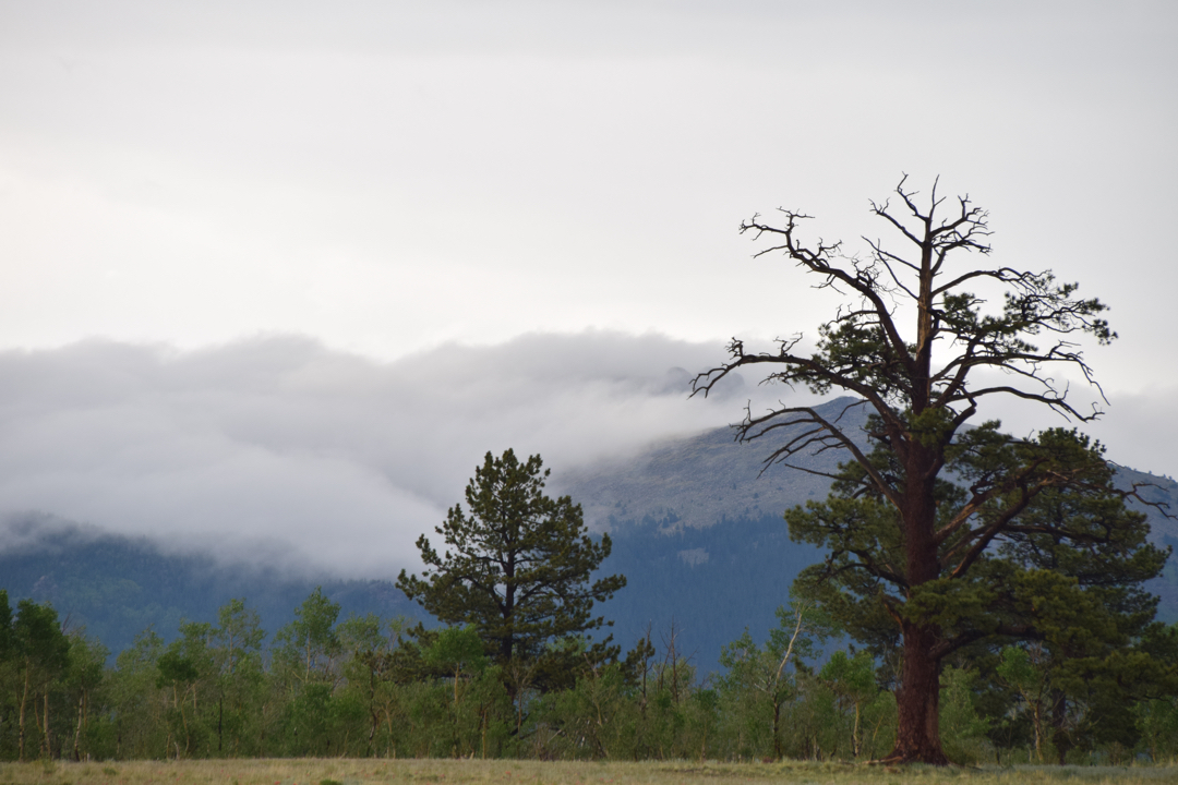 Low-laying clouds