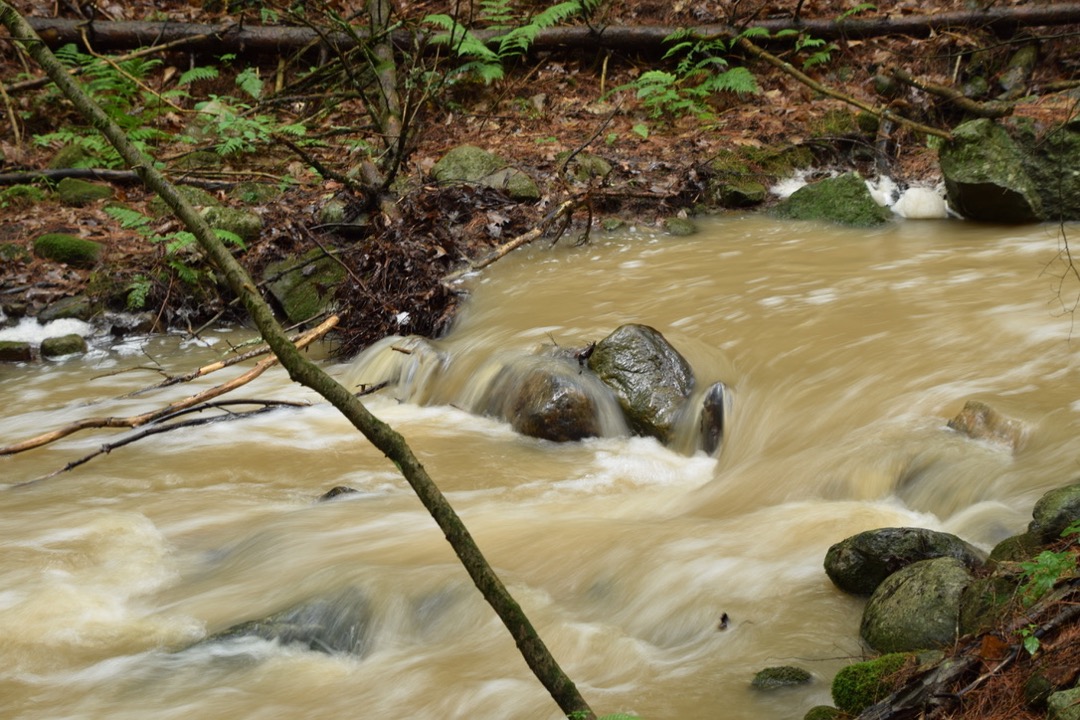 A creek after heavy rains
