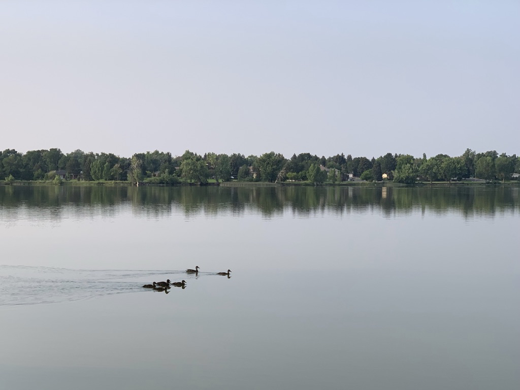 Peaceful reflections on McIntosh Lake